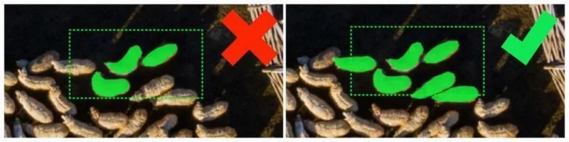A screenshot showing what not to do on the left (not annotating objects not fully contained) versus what best to do on the right (annotating all objects even if not fully contained)