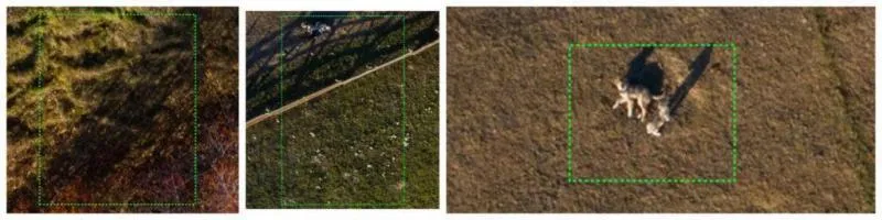 Three aerial images showing counterexamples