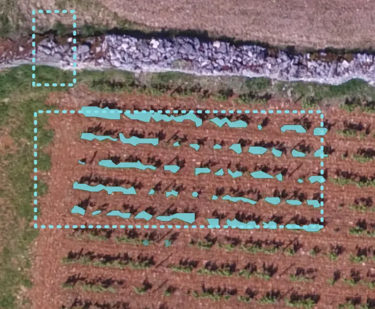 Screenshot of the training process in Picterra