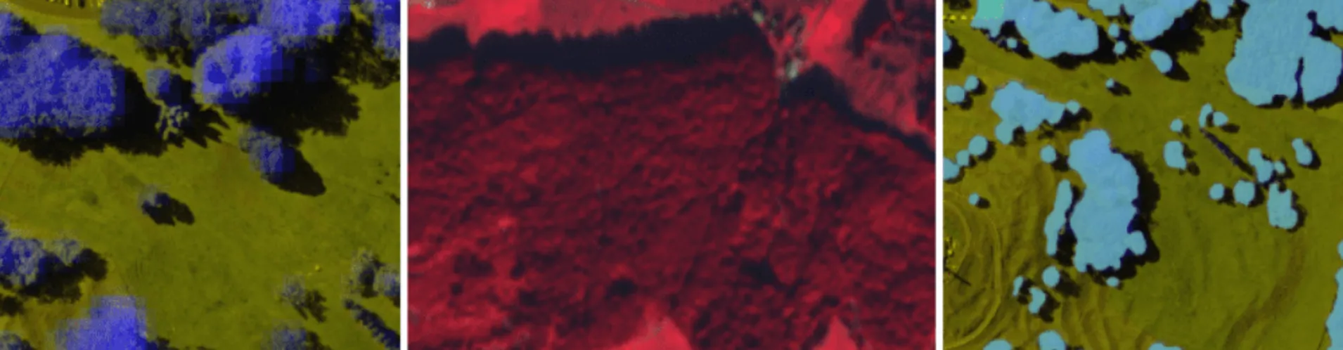 False color satellite imagery highlighting vegetation and land cover for geospatial analysis