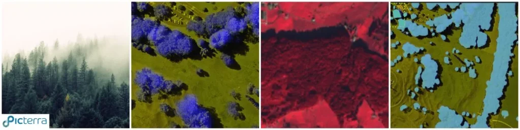 Graphic showing different types of false color images