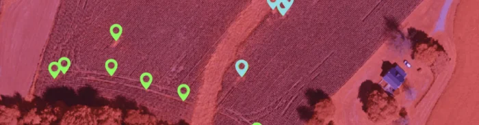 Satellite image with highlighted crop rows showing weeds detected through AI analysis