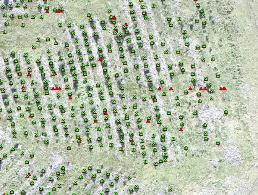 Screenshot of comparison of points generated by the Detector (red triangles) and endpoints with manual processing (green points) in the RGB image.