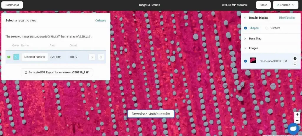 Screenshot of detected tree plants, Picterra software.
