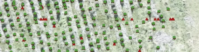 Forest canopy with geospatial markers used for tree and forestry monitoring with AI