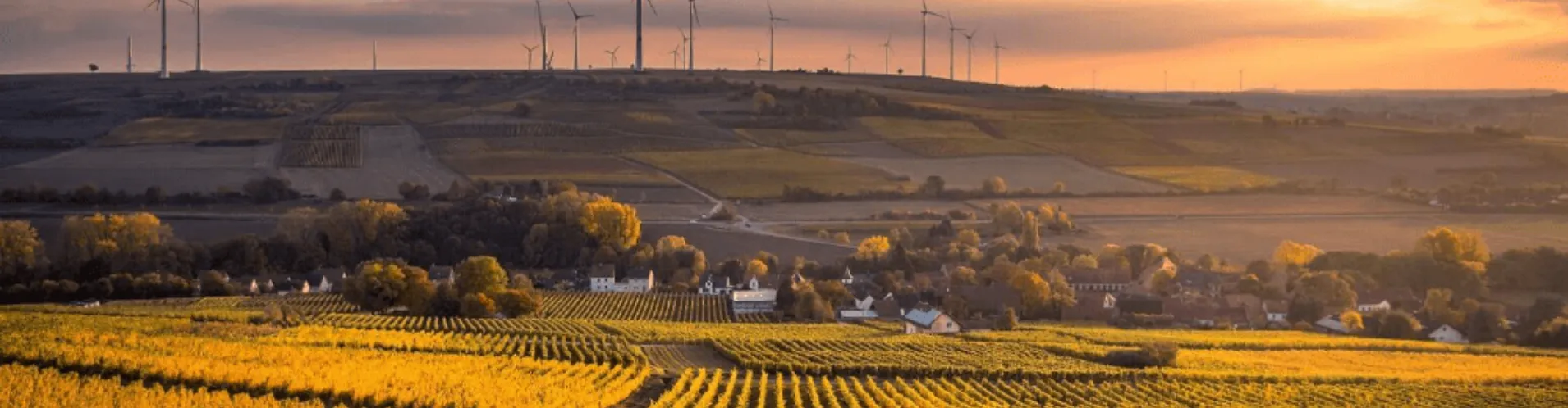 Sunset view of precision agriculture farmland with wind turbines and sustainable practices