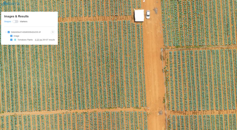 Screenshot of Picterra being used to detect tomato plants