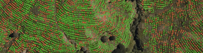 Aerial view of terrain with red and green markers for vegetation monitoring