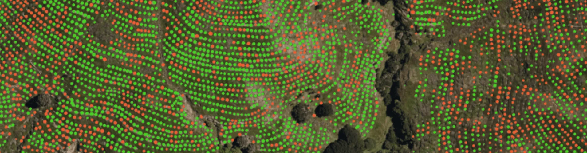 Aerial view of terrain with red and green markers for vegetation monitoring