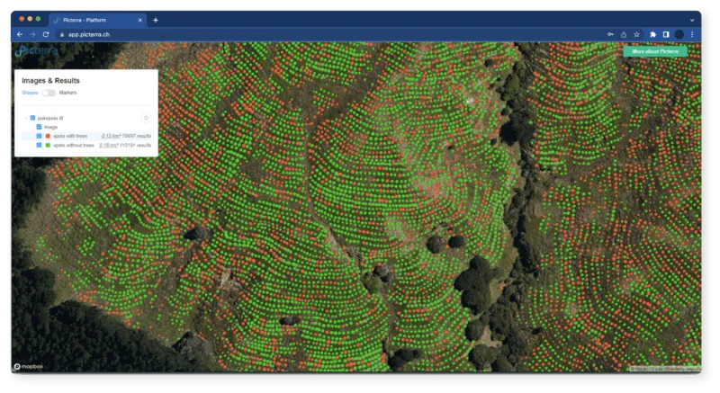 Screenshot of Picterra Forge detecting irrigated and oxidized holes for tree regrowth