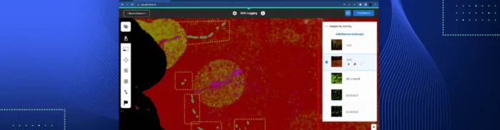 Picterra interface showing satellite analysis with highlighted areas in red and yellow