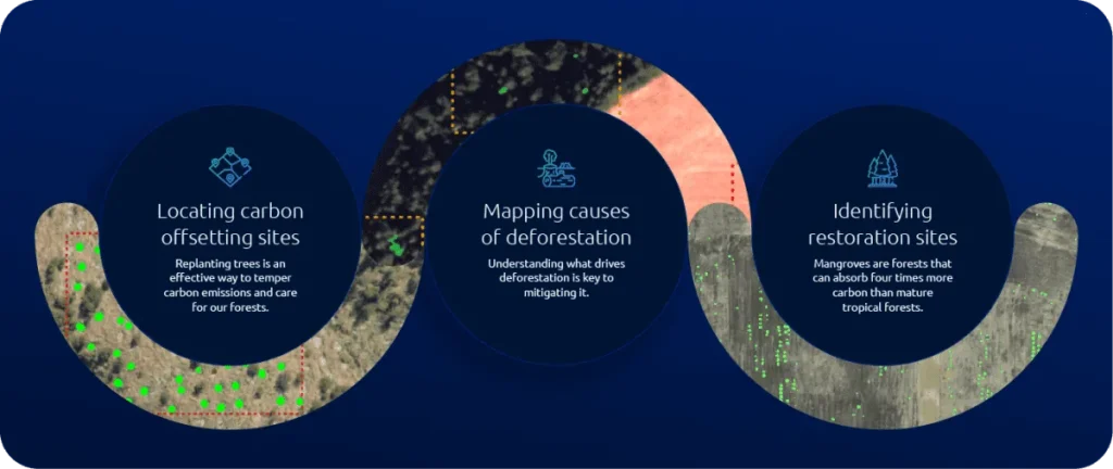 Workflow diagram showing how data and AI can help to protect forests