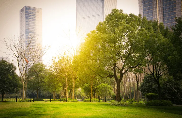 Green urban space with large trees and modern high-rise buildings behind them.