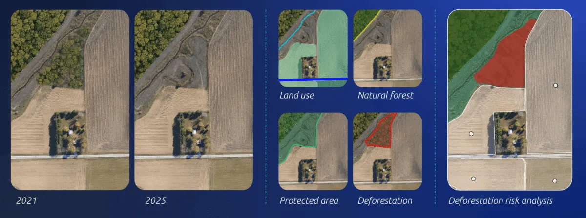 Comparison graphic of land use and deforestation risk analysis between 2021 and 2025 with forest and farmland boundaries