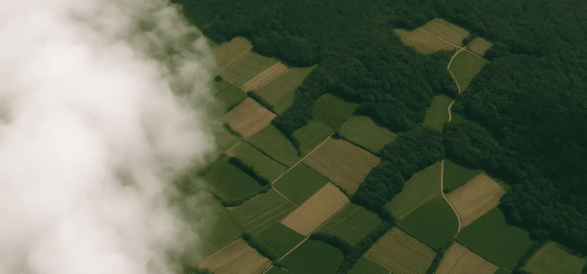 Aerial view of patchwork farmland bordering dense forest partly covered by clouds