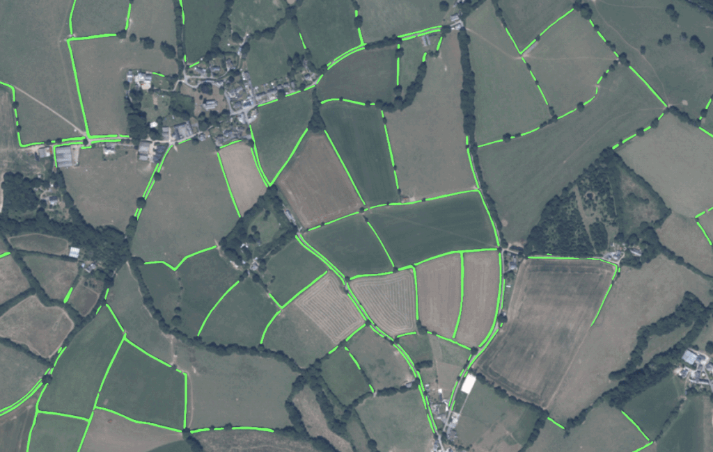 Rural Payment Agency (RPA) customer story