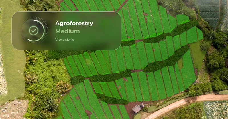 Picterra | Surface Intelligence for Environmental Monitoring