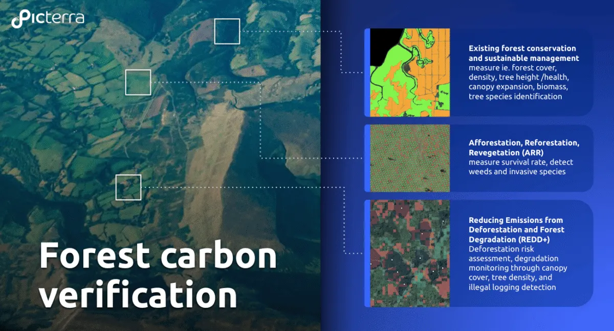 Picterra infographic on forest carbon verification with use cases for conservation, reforestation, and REDD+ monitoring.