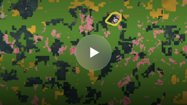 Understanding the EUDR definition of a forest is crucial for compliance