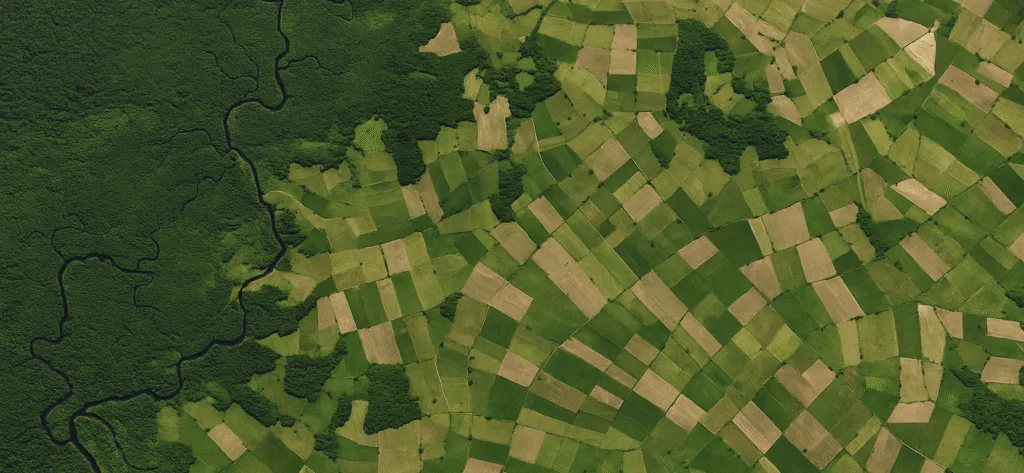 Satellite image of farmland bordering dense forest, highlighting deforestation and land use change.