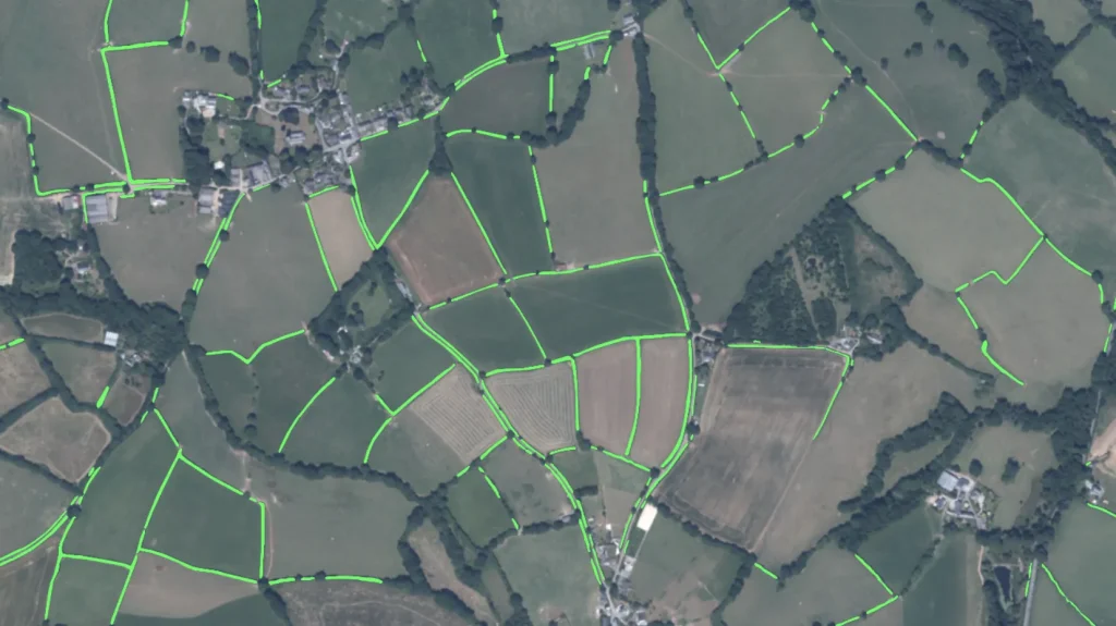 Rural Payment Agency (RPA) customer story