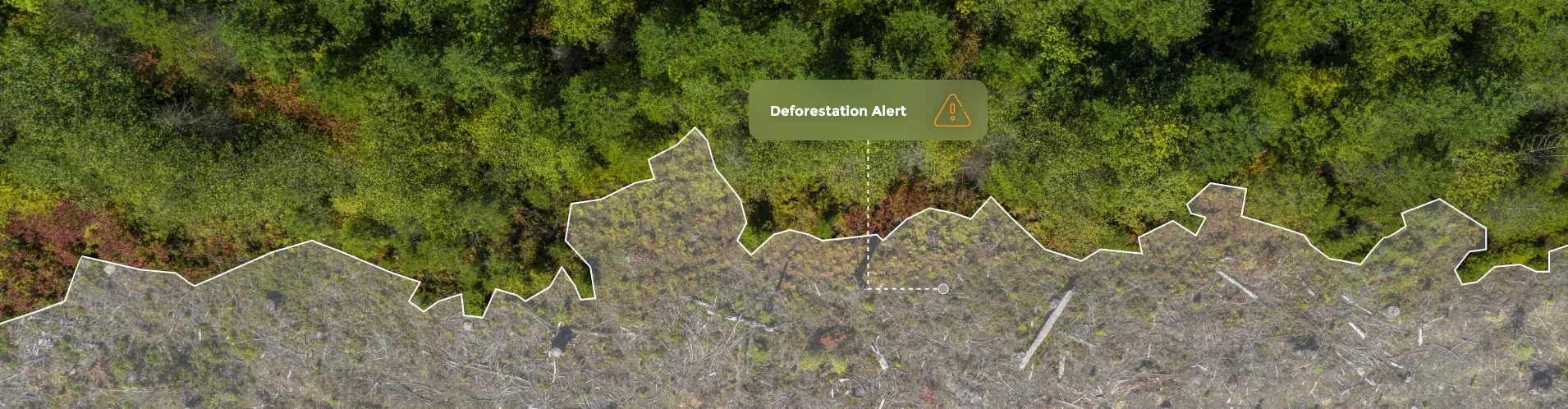 Aerial image showing a forest edge with a clear boundary between dense tree cover and deforested land, overlaid with a “Deforestation Alert” notification highlighting detected land clearing.