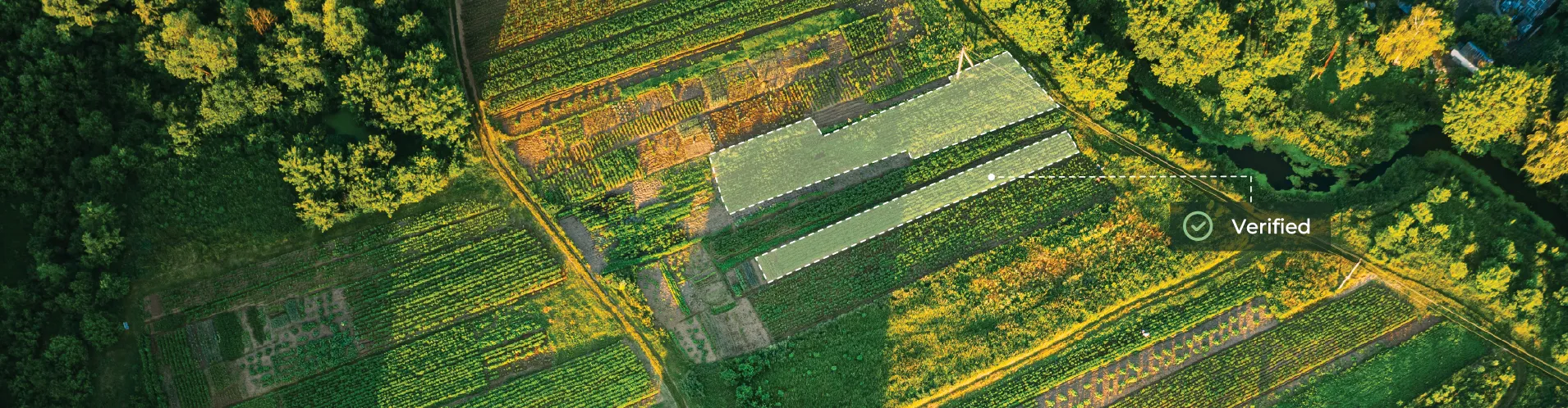 Turning regenerative agriculture into measurable progress with GeoAI