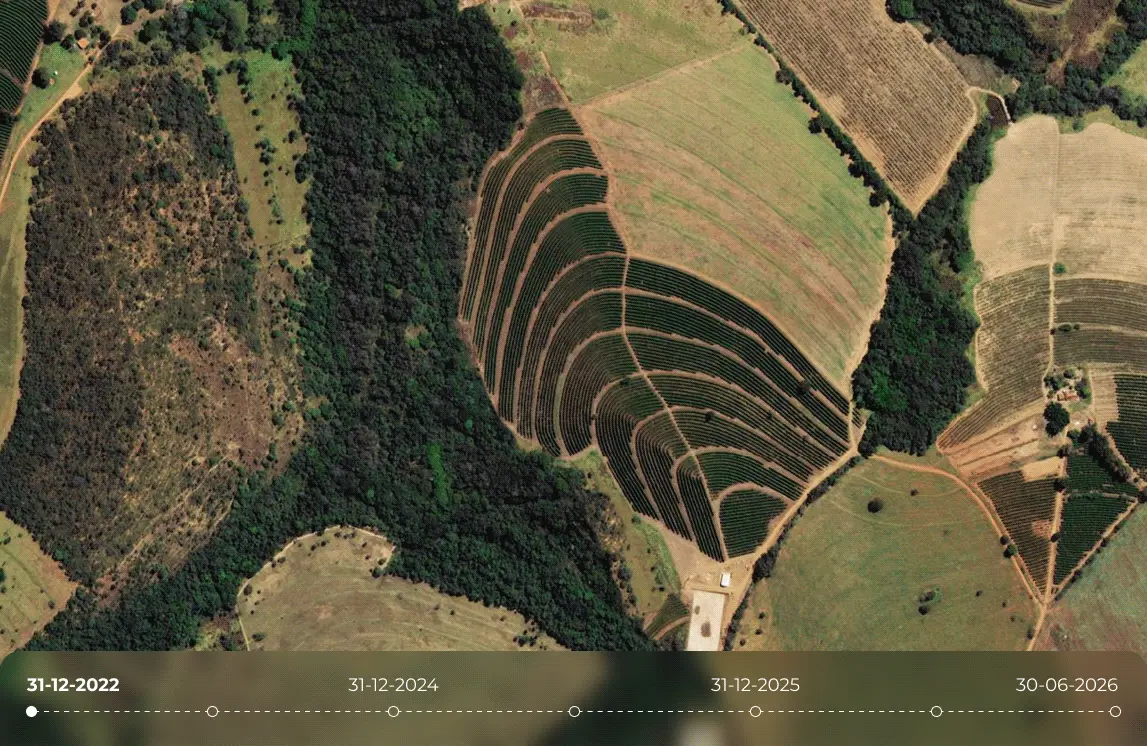 deforestation (2) Satellite imagery timelapse tracking forest cover changes, agricultural expansion, and localized deforestation across curved crop fields from late 2022 through mid-2026.