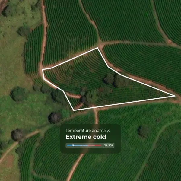 plot-level-insights Image description