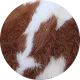 EUDR_cattle