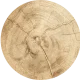 EUDR_wood