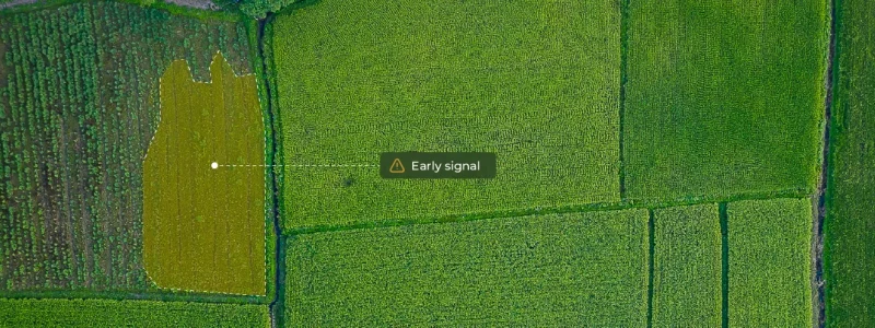 Satellite image of agricultural fields showing crop patterns and a highlighted area marked “Early signal,” illustrating geospatial monitoring for verifying farming practices.
